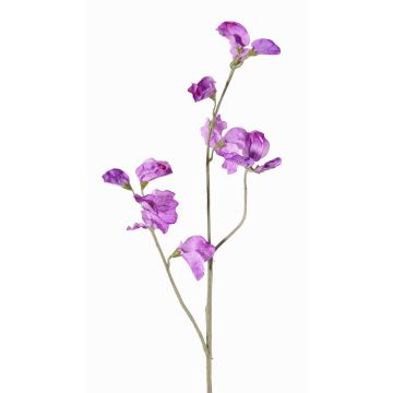 Rama de flor artificial Lathyrus ASFALOTH, lila, 65cm, Ø3-5cm Rama de flor artificial Lathyrus ASFALOTH, lila, 65cm, Ø3-5cm