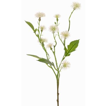 Flor artificial de margarita HOLLA, blanca, blanco, 55cm, Ø3-4cm Flor artificial de margarita HOLLA, blanca, blanco, 55cm, Ø3-4cm