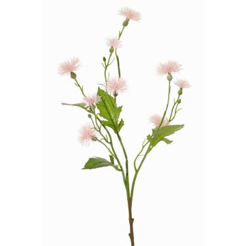 Flor artificial de margarita HOLLA, rosa pálido, 55cm, Ø3-4cm Flor artificial de margarita HOLLA, rosa pálido, 55cm, Ø3-4cm