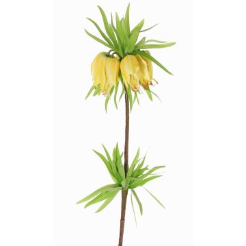 Flor artificial corona imperial IMST, amarilla, amarillo, 65cm, Ø11cm Flor artificial corona imperial IMST, amarilla, amarillo, 65cm, Ø11cm