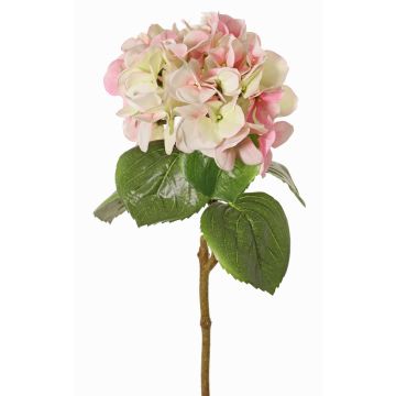 Flor artificial hortensia CHIDORI, crema-fucsia-verde, 60cm, Ø18cm Flor artificial hortensia CHIDORI, crema-fucsia-verde, 60cm, Ø18cm