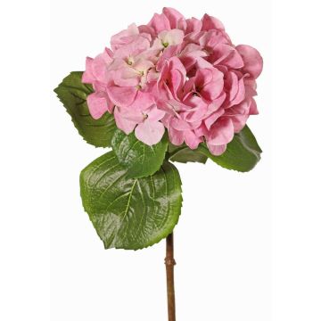 Hortensias artificiales CHIDORI, rosa-crema, 60cm, Ø18cm Hortensias artificiales CHIDORI, rosa-crema, 60cm, Ø18cm