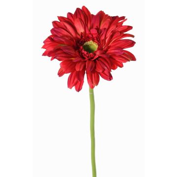 Gerbera artificial HELLI, roja, 65cm, Ø12cm Gerbera artificial HELLI, roja, 65cm, Ø12cm