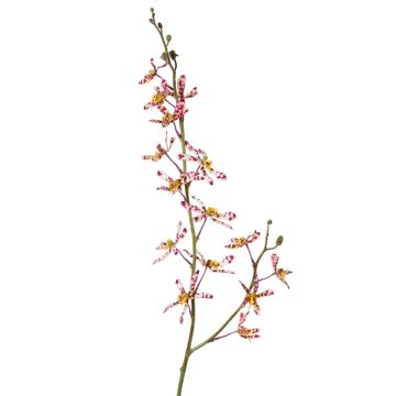 Rama artificial de orquídea Cattleya TRASSA, rosa, violeta-blanco-amarillo, 80cm, Ø4-8cm Rama artificial de orquídea Cattleya TRASSA, rosa, violeta-blanco-amarillo, 80cm, Ø4-8cm