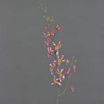 Rama artificial de orquídea Cattleya TRASSA, rosa, blanco y amarillo, 80 cm