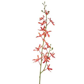Rama de orquídea Cattleya artificial TRASSA, rojo-naranja, 80cm, Ø4-8cm Rama de orquídea Cattleya artificial TRASSA, rojo-naranja, 80cm, Ø4-8cm