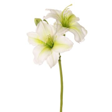 Flor artificial de azucena NEULIDA con flores, blanco-verde, 65cm, Ø11cm Flor artificial de azucena NEULIDA con flores, blanco-verde, 65cm, Ø11cm