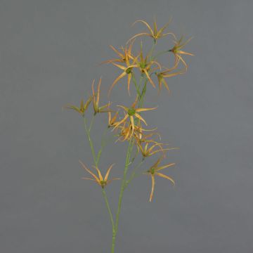 Rama artificial de Tweedia solanoides TOSAR, amarillo-verde, 70 cm