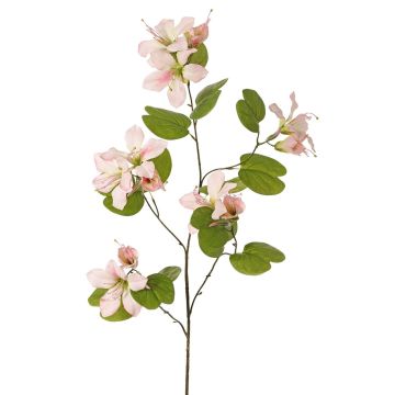 Rama artificial Bauhinia ENSANA, rosa pálido, 120cm