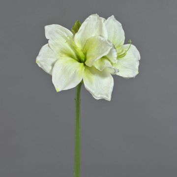 Amaryllis artificial NARWELA, blanco-verde, 70 cm, Ø10-13 cm