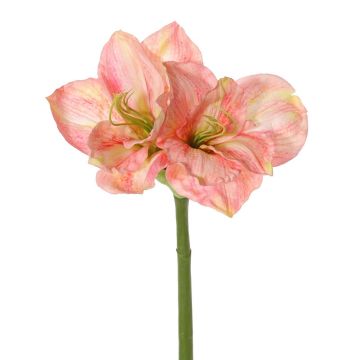 Amaryllis artificial NARWELA, rosa crema, 70 cm, Ø 10-13 cm Amaryllis artificial NARWELA, rosa crema, 70 cm, Ø 10-13 cm