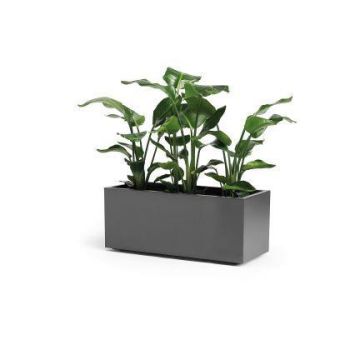 Jardinera rectangular NASTASJA de plástico reciclado, con depósito de agua, ruedas, color antracita, 99,5x39,5x38cm, 102L