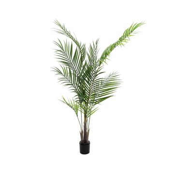 Palma de Areca de plástico AMICA para exterior, 165cm