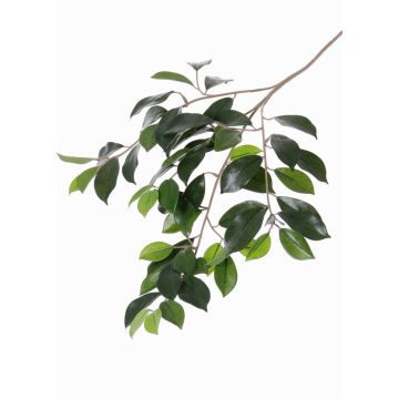 Rama de Ficus Microcarpa de simulación BHAO, verde, 65cm Rama de Ficus Microcarpa de simulación BHAO, verde, 65cm