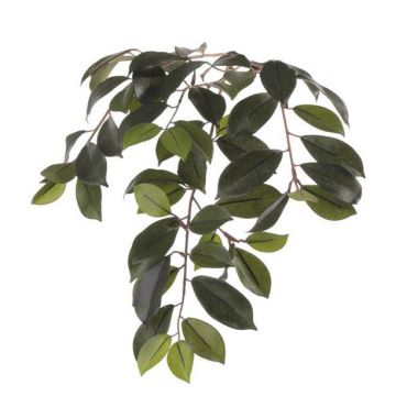 Rama de Ficus Microcarpa de simulación BHAO, verde, 65cm Rama de Ficus Microcarpa de simulación BHAO, verde, 65cm