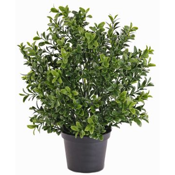Árbol boj artificial TOM, zonas resguardadas, verde, 30cm, Ø20cm Árbol boj artificial TOM, zonas resguardadas, verde, 30cm, Ø20cm