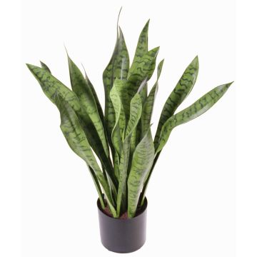 Sansevieria artificial BEYZA, verde, 80cm Sansevieria artificial BEYZA, verde, 80cm