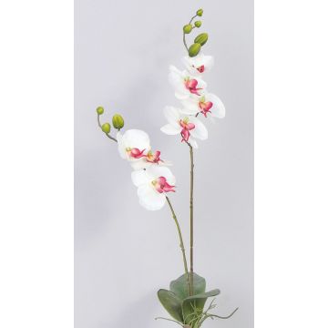 Orquídea Phalaenopsis sintética NAARA vara fijación, blanco-fucsia, 75cm Orquídea Phalaenopsis sintética NAARA vara fijación, blanco-fucsia, 75cm