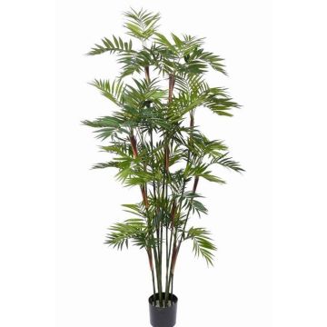 Chamaedorea artificial NAYELI, 200cm