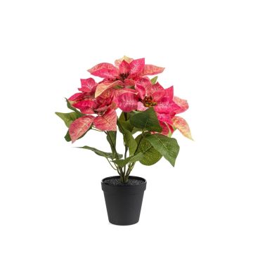 Estrella de Navidad artificial GRULEN en maceta decorativa, color rosa, 40 cm