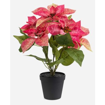 Estrella de Navidad artificial GRULEN en maceta decorativa, color rosa, 40 cm