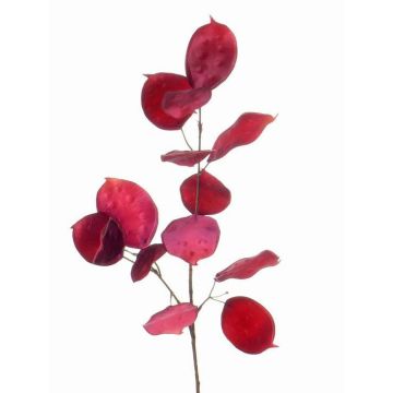 Rama de lunaria artificial JEPPE, fucsia, 60cm