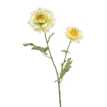 Flor decorativa ranúnculo LOLYN, verde-crema, 65cm