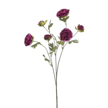 Rama artificial de ranúnculos DAVELLA, violeta oscuro, 80 cm Rama artificial de ranúnculos DAVELLA, violeta oscuro, 80 cm