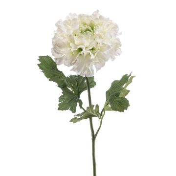 Ranúnculo artificial ULISAN, verde crema, 60 cm, Ø 14 cm Ranúnculo artificial ULISAN, verde crema, 60 cm, Ø 14 cm