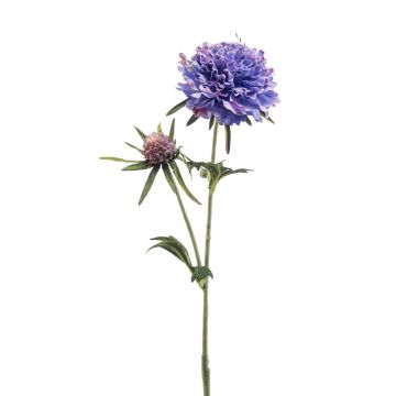 Rama artificial de escabiosa BASOLO, azul-lila, 55 cm Rama artificial de escabiosa BASOLO, azul-lila, 55 cm