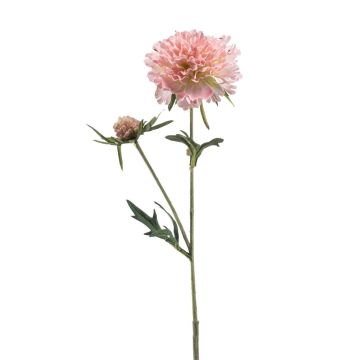 Rama artificial de escabiosa BASOLO, rosa-crema, 55 cm Rama artificial de escabiosa BASOLO, rosa-crema, 55 cm
