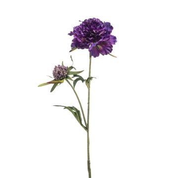Rama artificial de escabiosa BASOLO, violeta oscuro, 55 cm Rama artificial de escabiosa BASOLO, violeta oscuro, 55 cm