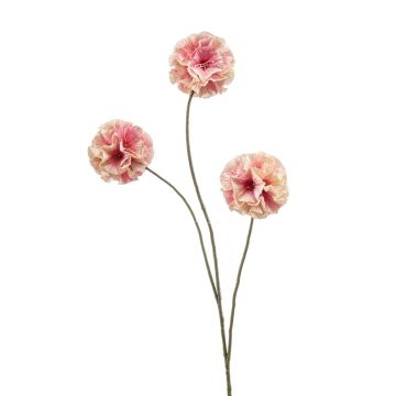 Scabiosa en forma de estrella artificial DESIRIO, rosa melocotón, 75 cm Scabiosa en forma de estrella artificial DESIRIO, rosa melocotón, 75 cm