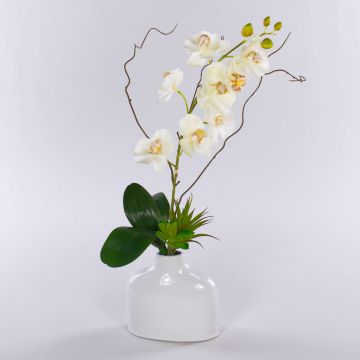 Orquídea Phalaenopsis artificial TIALDA, suculentas, jarrón de cerámica, blanco, 50cm Orquídea Phalaenopsis artificial TIALDA, suculentas, jarrón de cerámica, blanco, 50cm