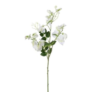Rama artificial Lathyrus latifolius PLENVO, blanca, 75 cm