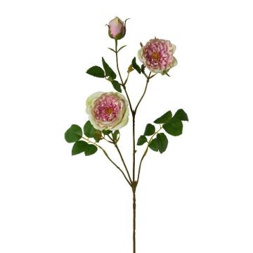 Rama artificial de peonía KROVEL, verde-rosa, 75 cm
