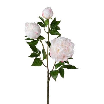 Rama de flores artificiales de peonía CRUNT, blanco, 85 cm