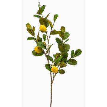 Rama artificial de limonero DUNKAN con frutos y flores, amarilla, 95 cm Rama artificial de limonero DUNKAN con frutos y flores, amarilla, 95 cm