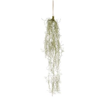 Suculenta artificial Tillandsia usneoides colgante RUWEN, verde, 90 cm