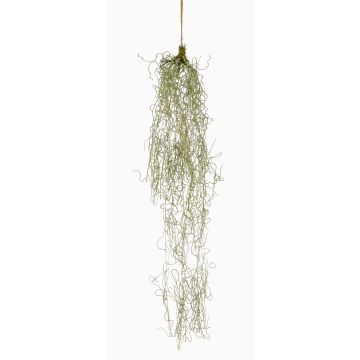 Suculenta artificial Tillandsia usneoides colgante RUWEN, verde, 90 cm