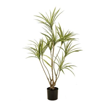 Árbol artificial Dracaena marginata SHALLU, troncos artificiales, verde, 120 cm