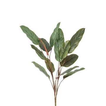 Planta artificial Calathea orbifolia FREMIX en varilla, verde, 115 cm