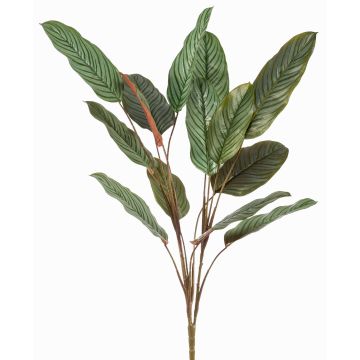 Planta artificial Calathea orbifolia FREMIX en varilla, verde, 115 cm