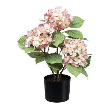 Flor artificial Hortensia TRAVOLI, rosa-crema, 55 cm