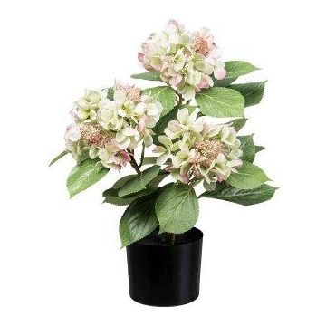 Flor artificial Hortensia TRAVOLI, verde-rosa, 55 cm