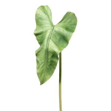 Hoja artificial de flor de flamingo ANULKO, verde, 95 cm