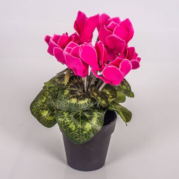 Ciclamen artificial HEIDI en maceta decorativa, fucsia, 25cm, Ø5-8cm