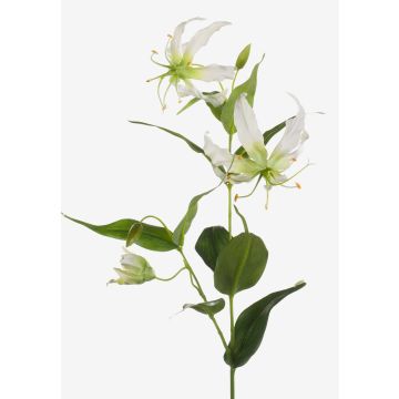 Rama de gloriosa artificial FUJITA, crema-verde, 80cm, Ø15cm Rama de gloriosa artificial FUJITA, crema-verde, 80cm, Ø15cm
