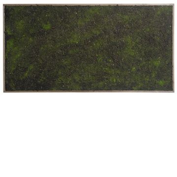Seto artificial / Esterilla de musgo en marco HONAM, marrón-verde, 100x50cm Seto artificial / Esterilla de musgo en marco HONAM, marrón-verde, 100x50cm