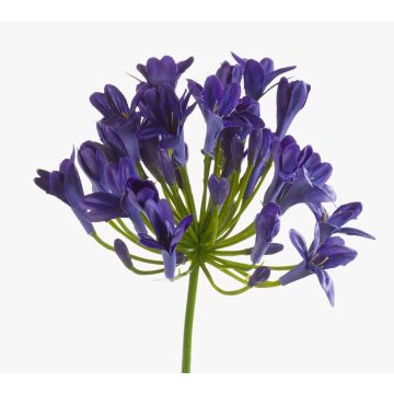 Agapanthus artificial PHILINA, lila, 75cm, Ø14cm Agapanthus artificial PHILINA, lila, 75cm, Ø14cm